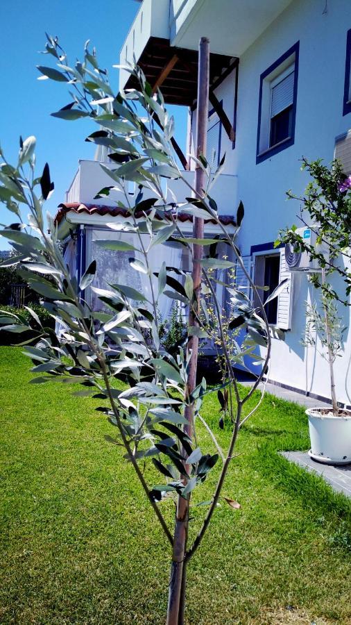 Zephyros Family Apartments 1 Ormos Panagias Bagian luar foto